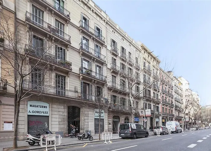 Friendly Rentals Michelangelo